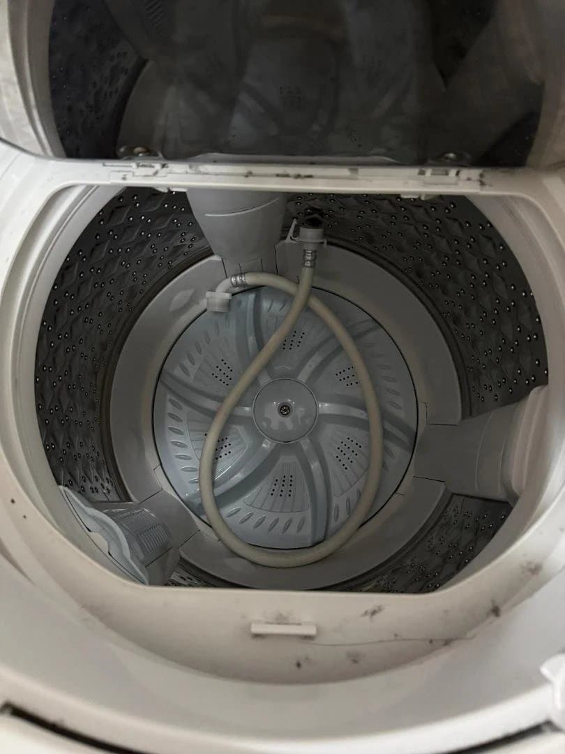 TOSHIBA ZABOON AW-8VE6 縦型洗濯機本体