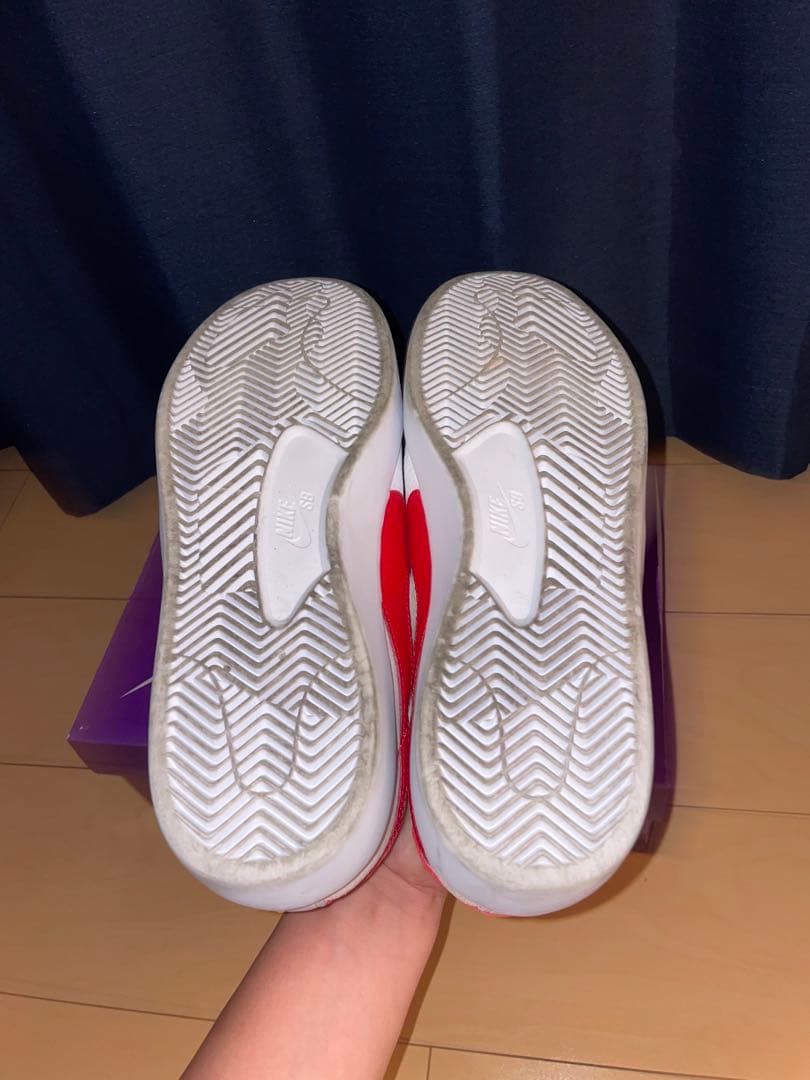 スケートボード NIKE SB BRUIN REACT (CJ1661-102)