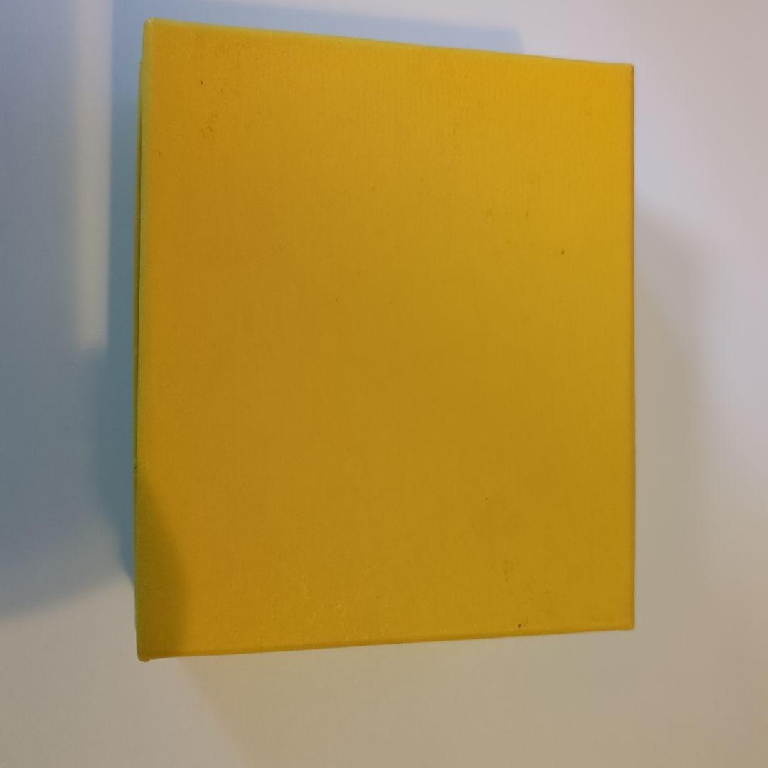 FENDI 名刺入れ 黒 箱付き