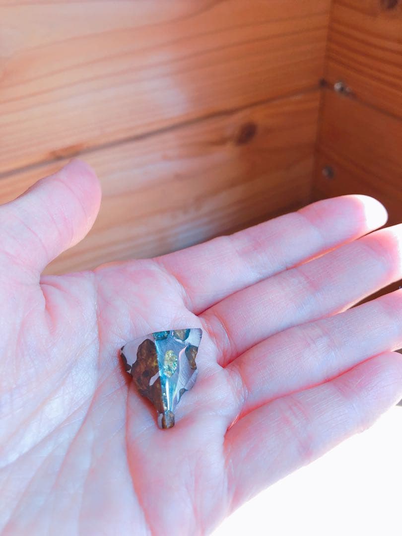 貴重　隕石　イミラックパラサイト　最終値下げ