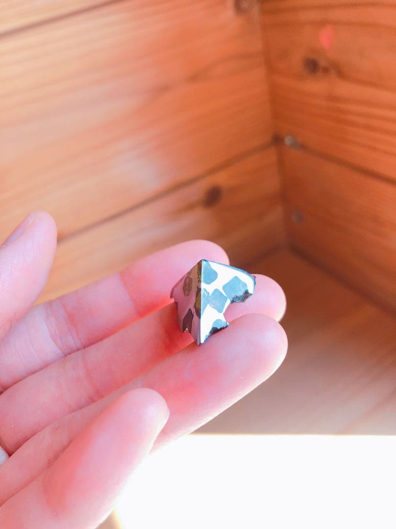 貴重　隕石　イミラックパラサイト　最終値下げ