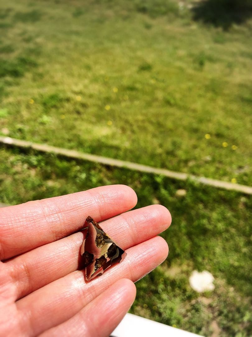 貴重　隕石　イミラックパラサイト　最終値下げ