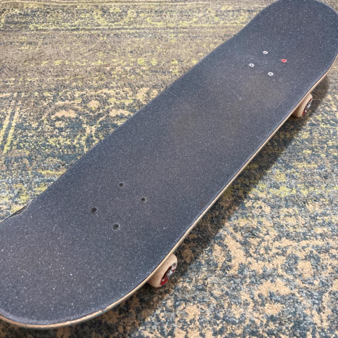 【価格交渉歓迎】SANTA CRUZ スケートボード コンプリートセット 完成品