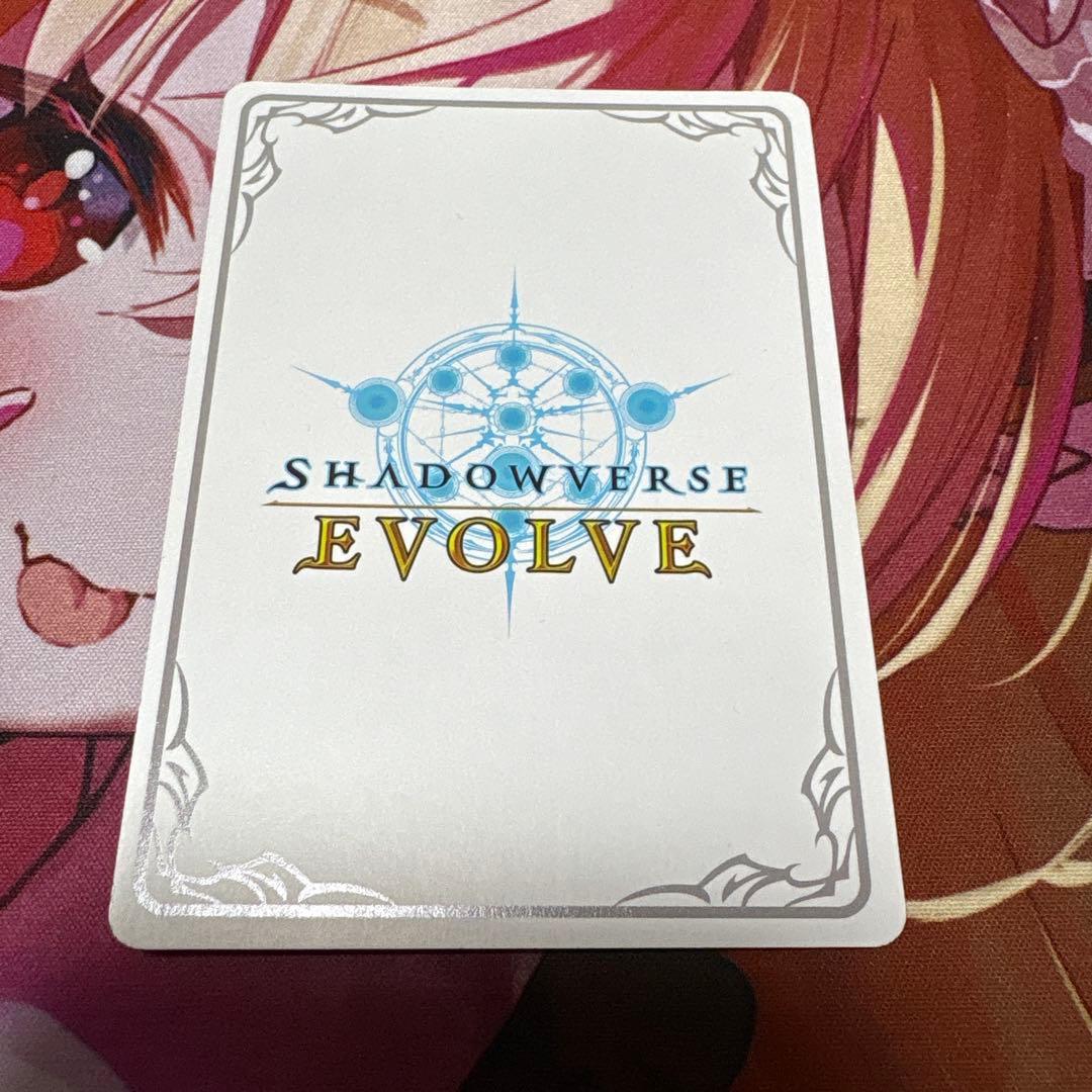 プリンセスフォーム　コッコロ　リーダー　LD