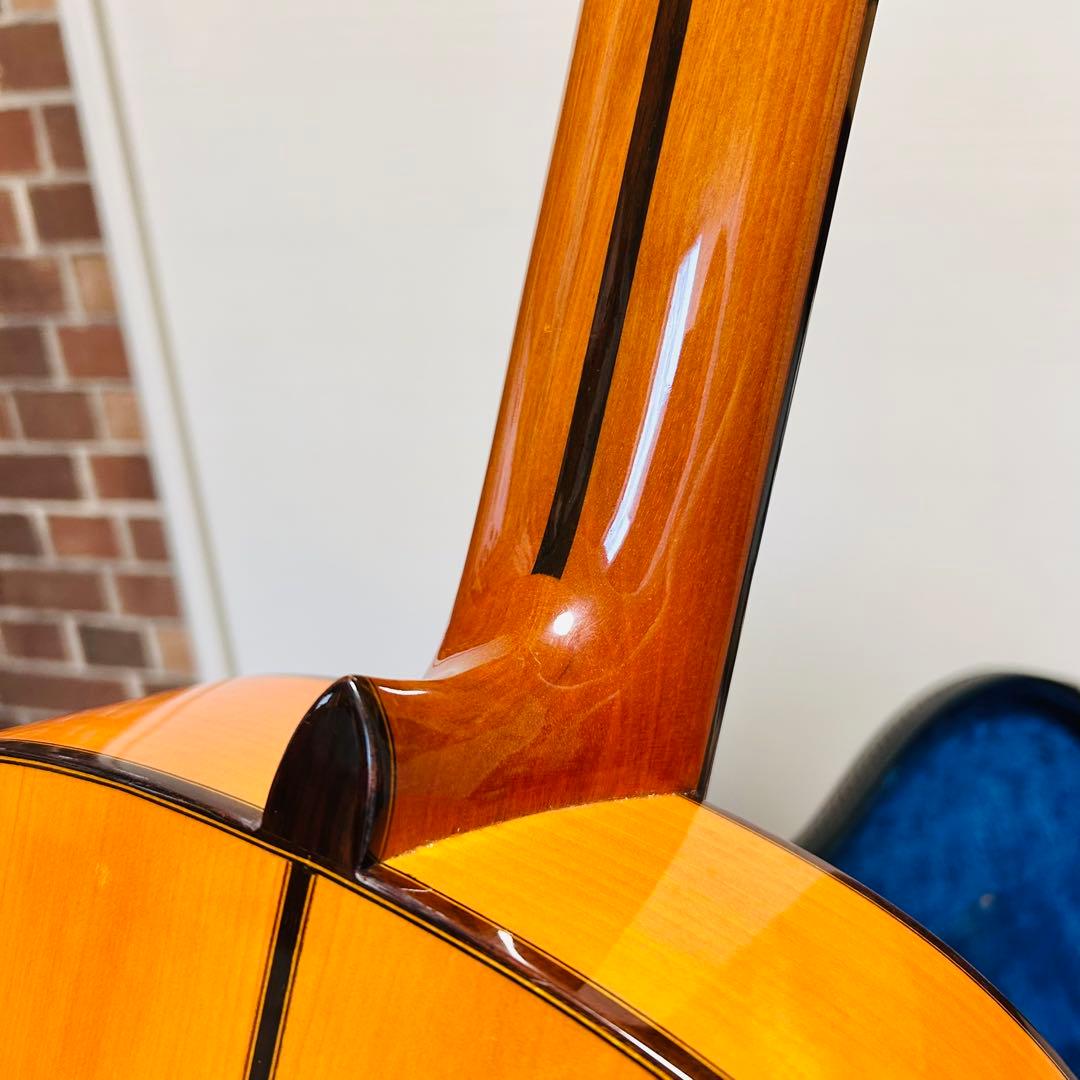 【希少】アコースティック ギター アリア A-100F ハードケース付