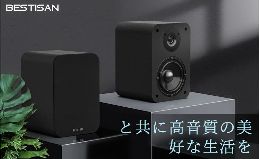 BESTISAN SD01 ブックシェルフスピーカー 2ch 最大40W
