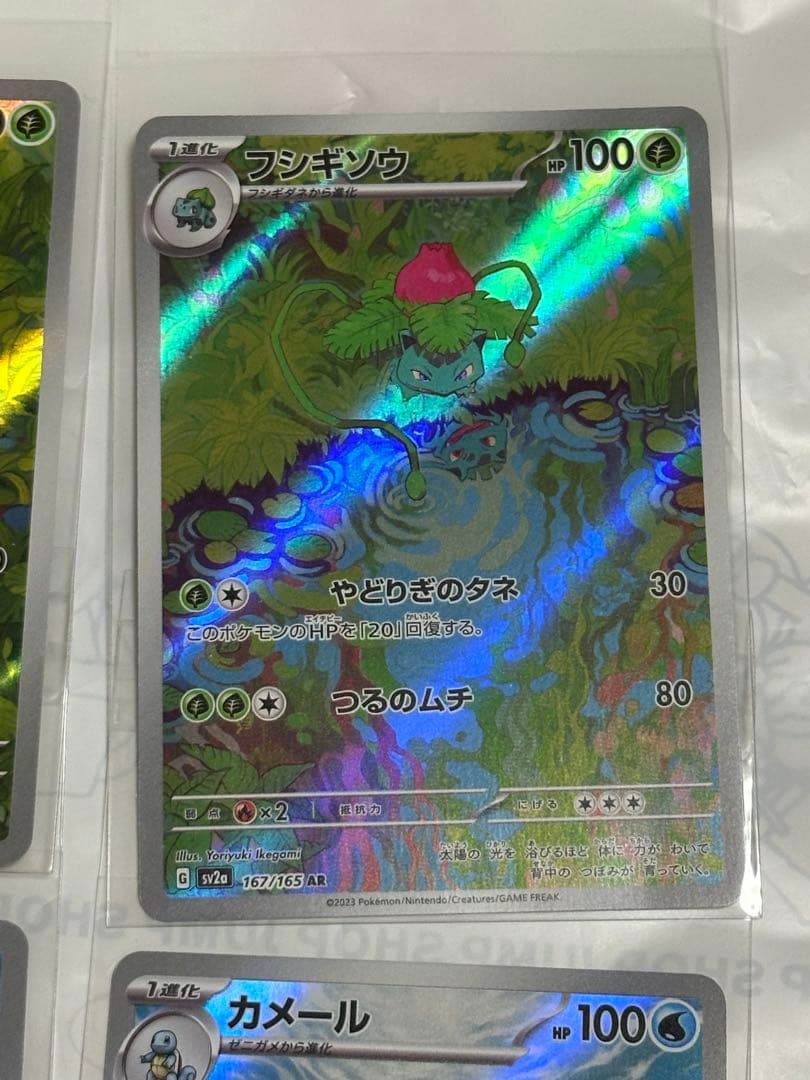 151 カメックスex sar/フシギバナex sar 進化ライン