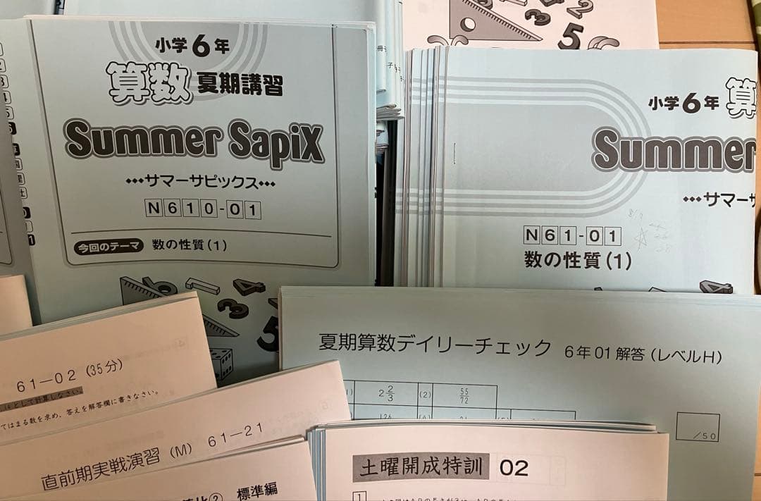 小6 算 デイリーサポート デイリーサピックス24回+春期•夏期 ウィークNプリ