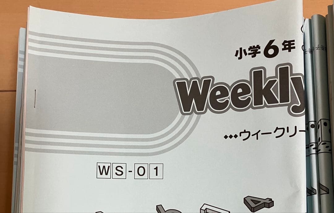 小6 算 デイリーサポート デイリーサピックス24回+春期•夏期 ウィークNプリ