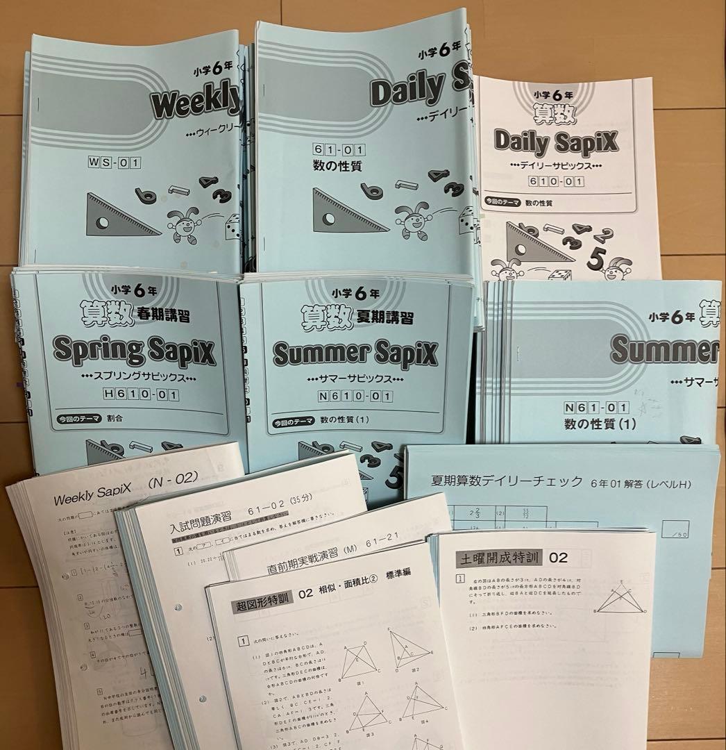 小6 算 デイリーサポート デイリーサピックス24回+春期•夏期 ウィークNプリ