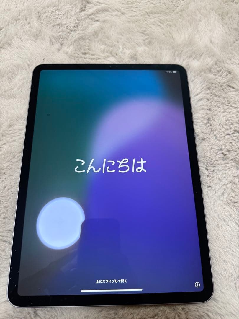 iPad pro 11 第1世代 256GB