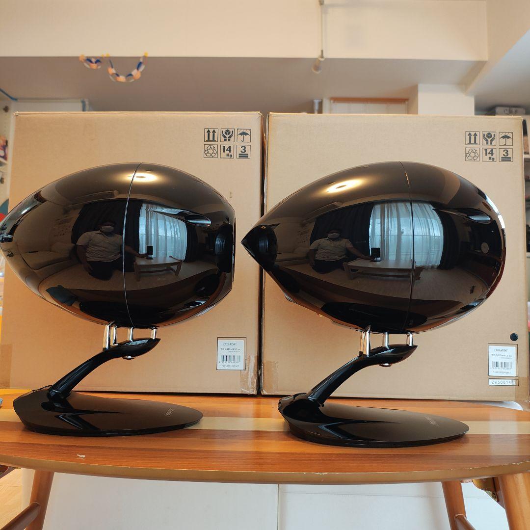 Eclipse TD510mk2 タイムドメイン理論スピーカー2本