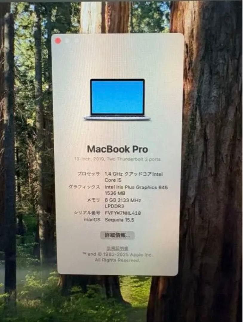 MacBook本体 MacBook Pro2019