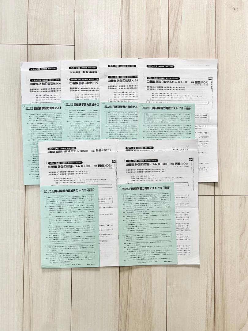 日能研 小5★育成テスト 前期 【2024年度】欠品なし★一部アンサーガイド付き