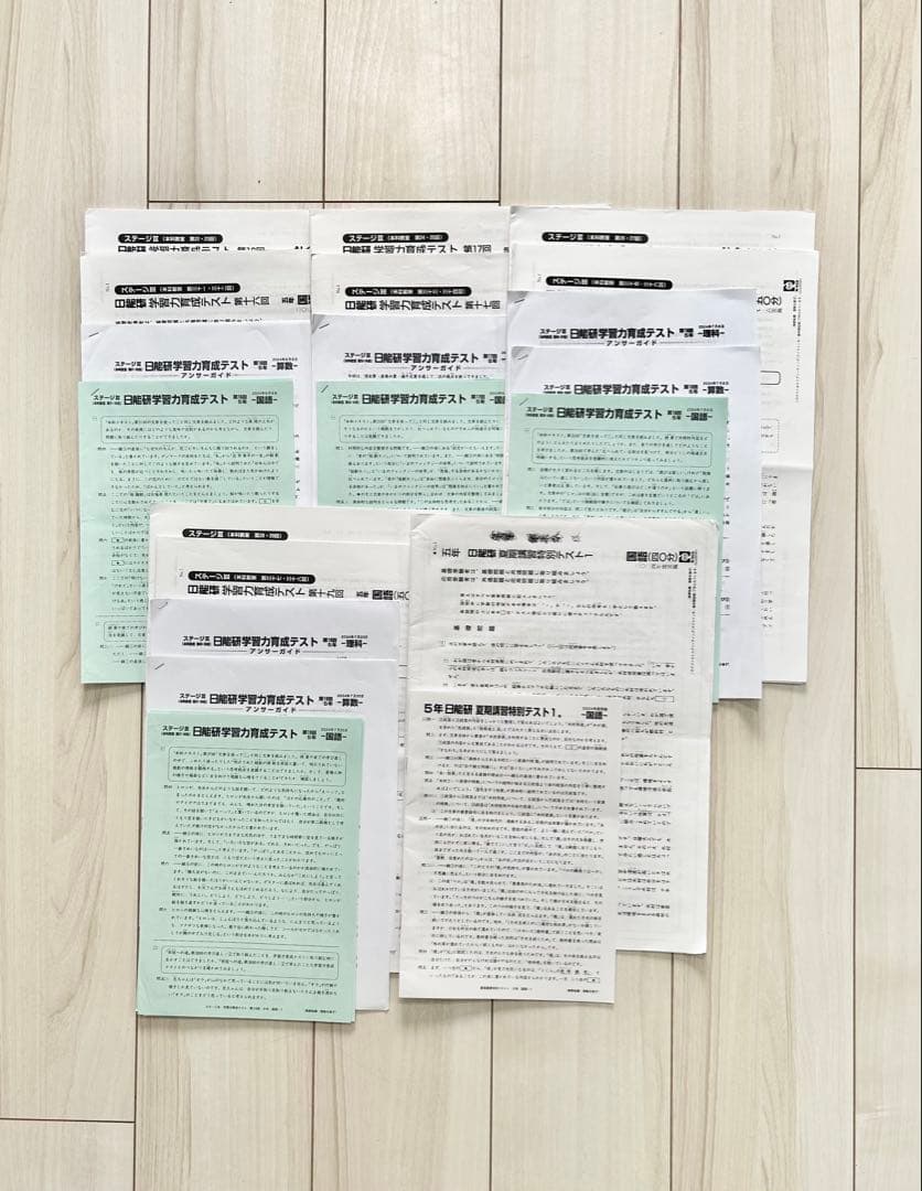 日能研 小5★育成テスト 前期 【2024年度】欠品なし★一部アンサーガイド付き