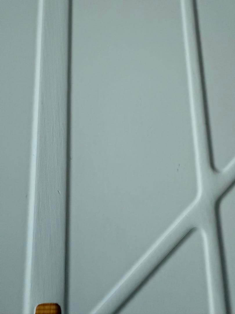 iPad mini Wi-Fi＋Cellularモデル256GB スターライト