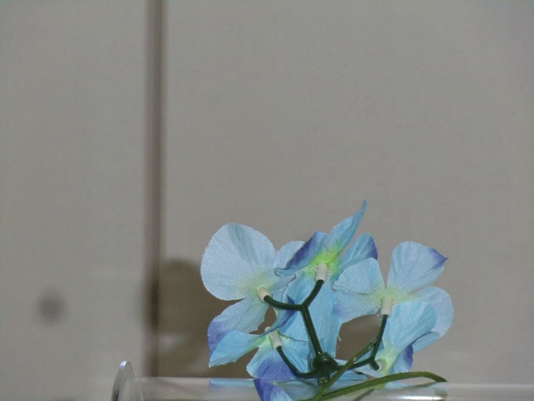 CASIO エクシリム　EX-H15 充電器　ブラック コンデジ　動作品