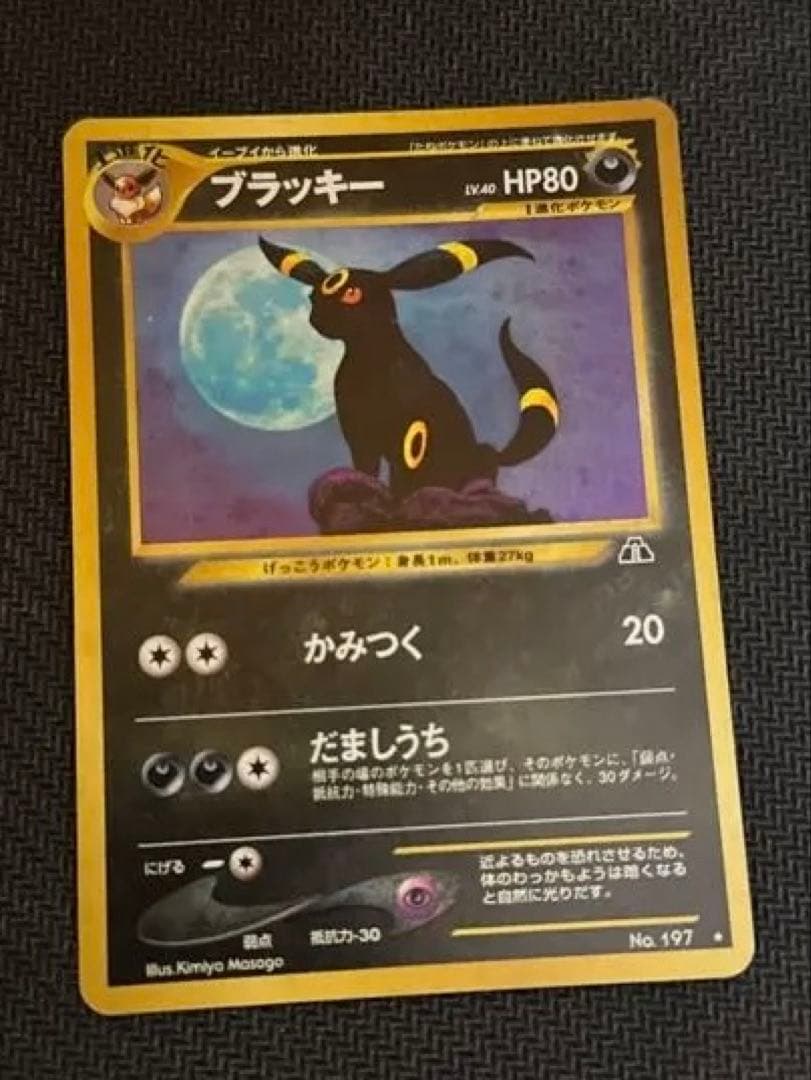 ブラッキー　遺跡をこえて