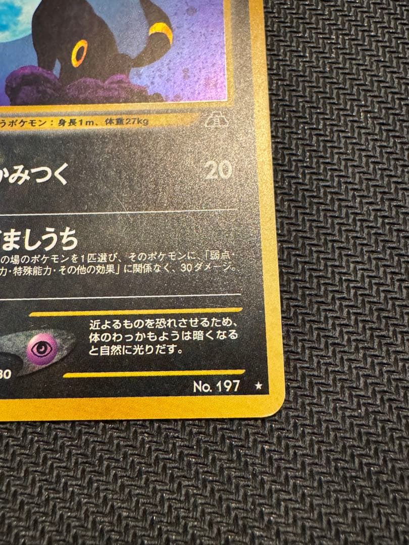 ブラッキー　遺跡をこえて