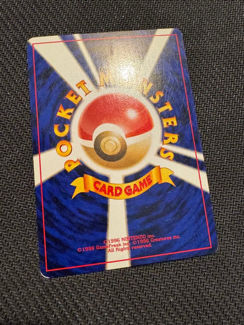 ブラッキー　遺跡をこえて