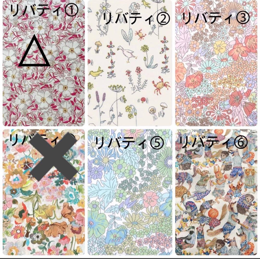 Mayページエールバッグサイズミニボリードサイズバッグインバッグ