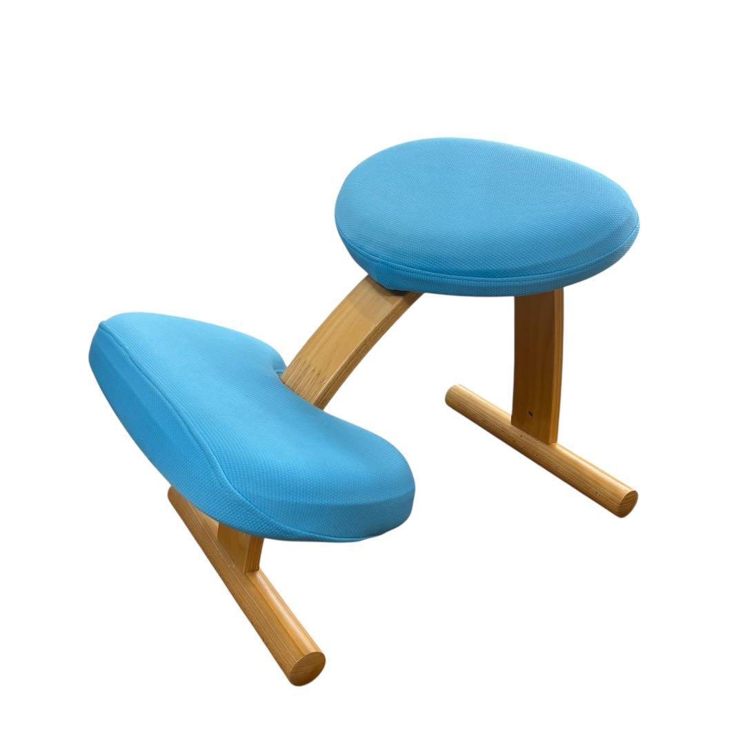 【即日発送 美品】サカモトハウス バランスイージー カバー付き