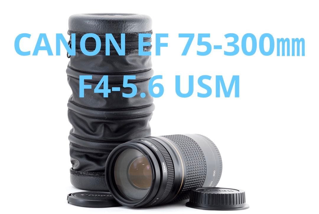 ☆純正☆大望遠レンズ☆キャノン　Canon EF75-300 USM