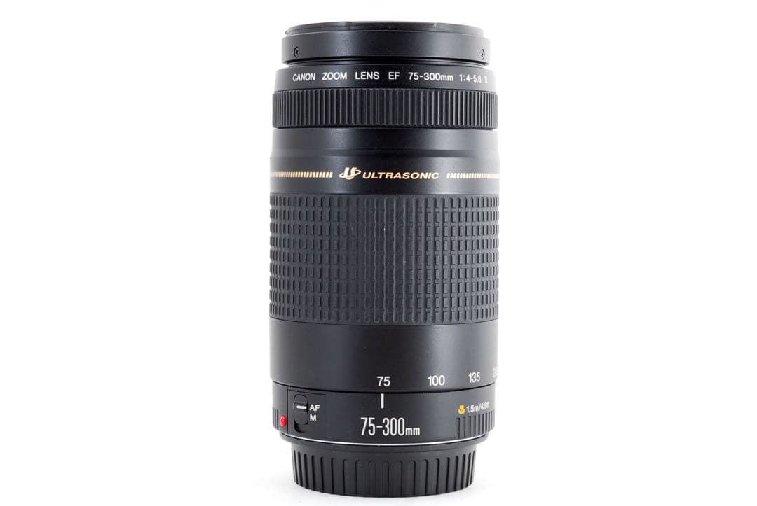 ☆純正☆大望遠レンズ☆キャノン　Canon EF75-300 USM