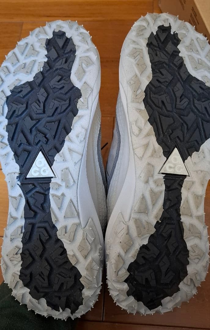 【極美品】Nike ACG マウンテンフライ2LOW 28㎝　正規品