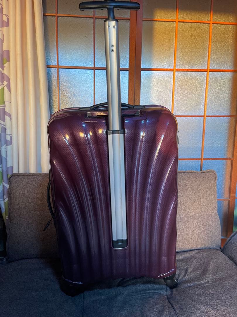 サムソナイト コスモライト トラベルバッグ/ハンドバッグ