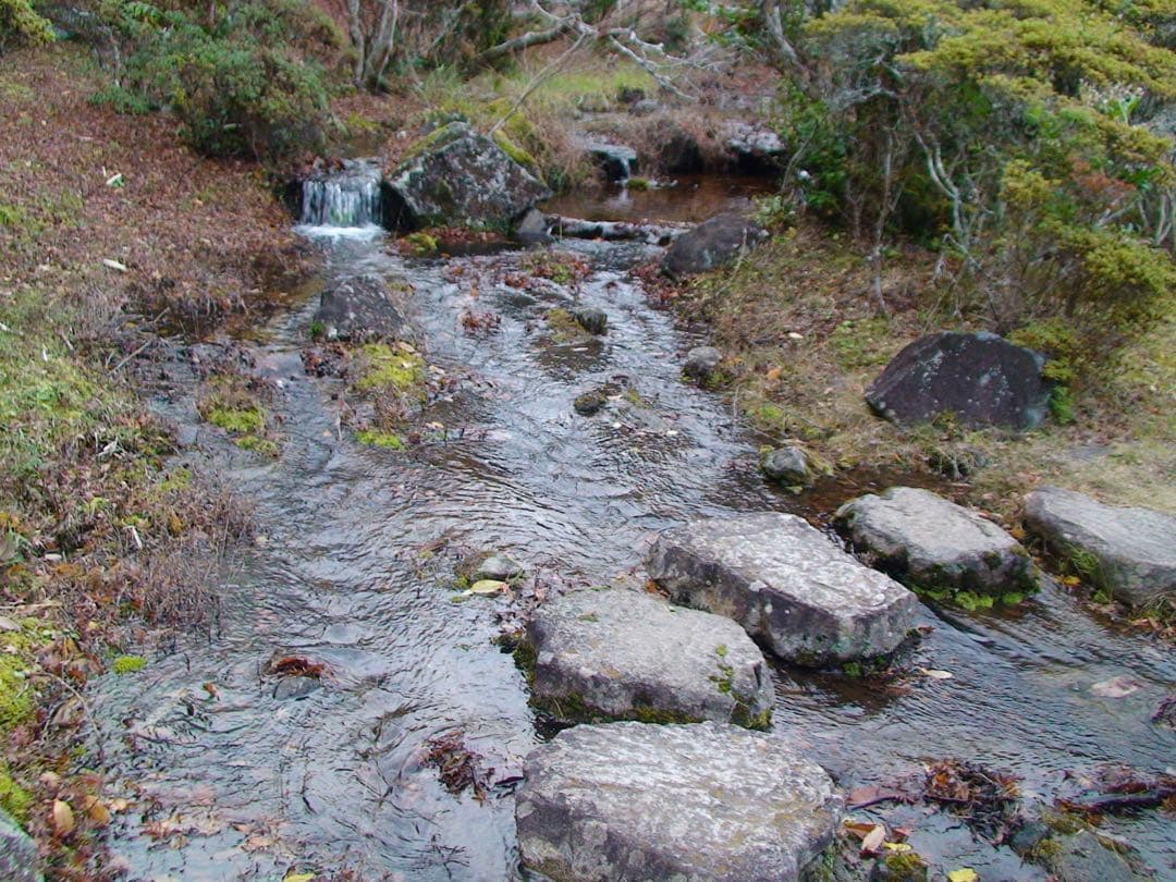 【動作良好品】 SONY Handycam HDR-SR 動画・写真どちらもOK