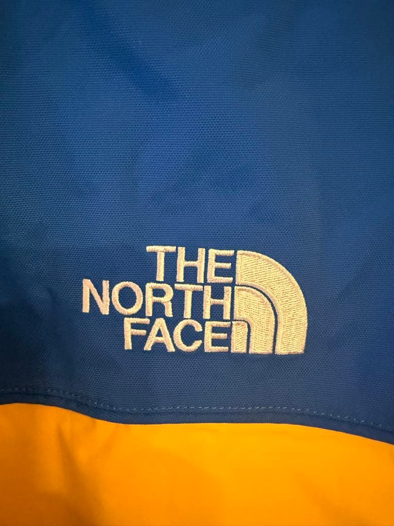 得❗️Supreme x TNF Steep Tech Hooded Jacket