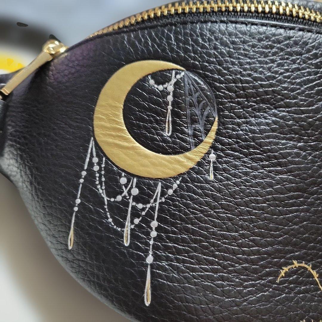 COACH　皮革ウエストポーチ、ボディバック刺繍デザイン【極美品】