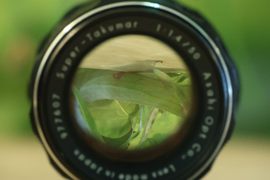 【8枚玉】Super Takumar 50mm f1.4 【前期型】