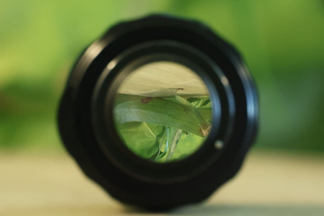 【8枚玉】Super Takumar 50mm f1.4 【前期型】