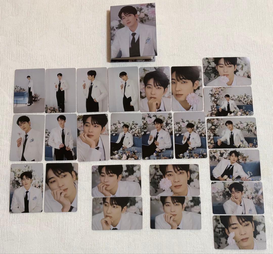 SEVENTEEN トレカ ウォヌ まとめ売り 93枚 ケース付き 被りなし