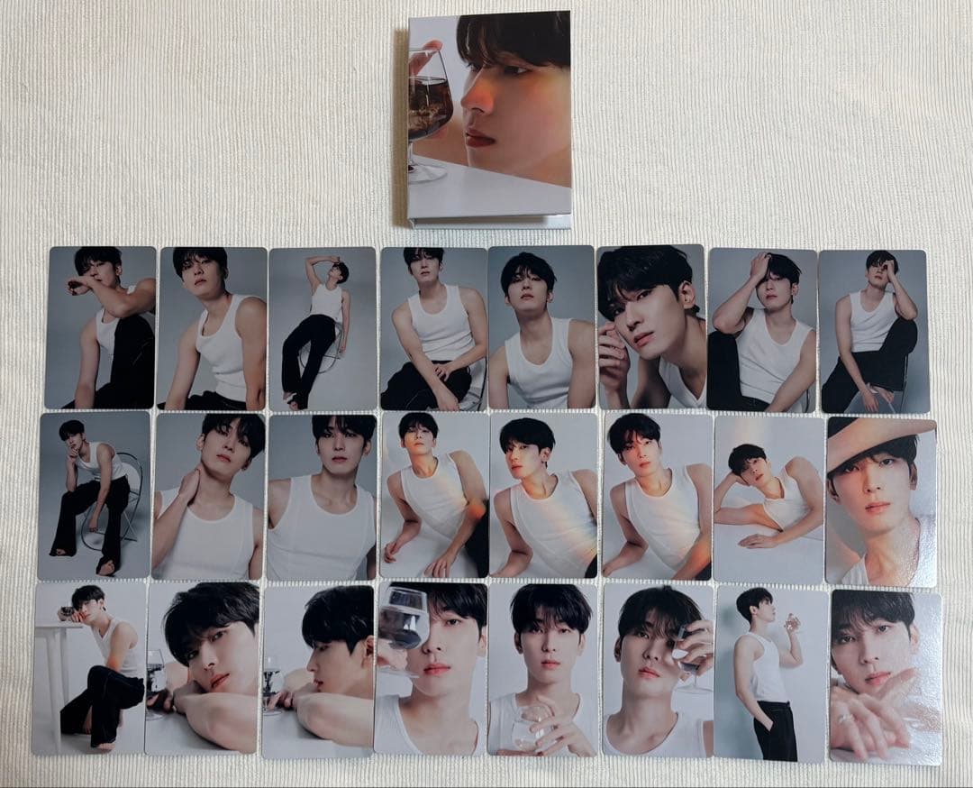 SEVENTEEN トレカ ウォヌ まとめ売り 93枚 ケース付き 被りなし