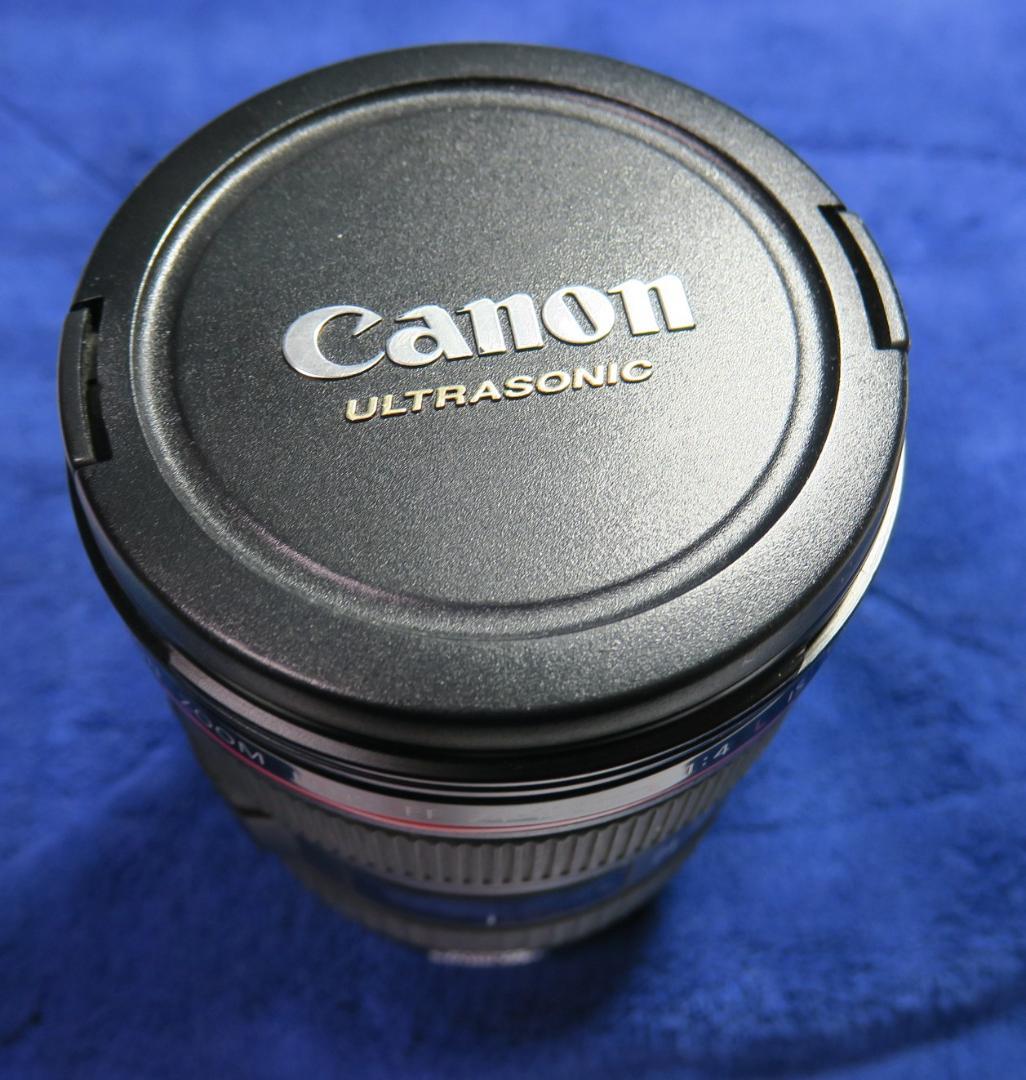 な*お様 Canon EF 24-105mm f/4 L IS USM レンズ