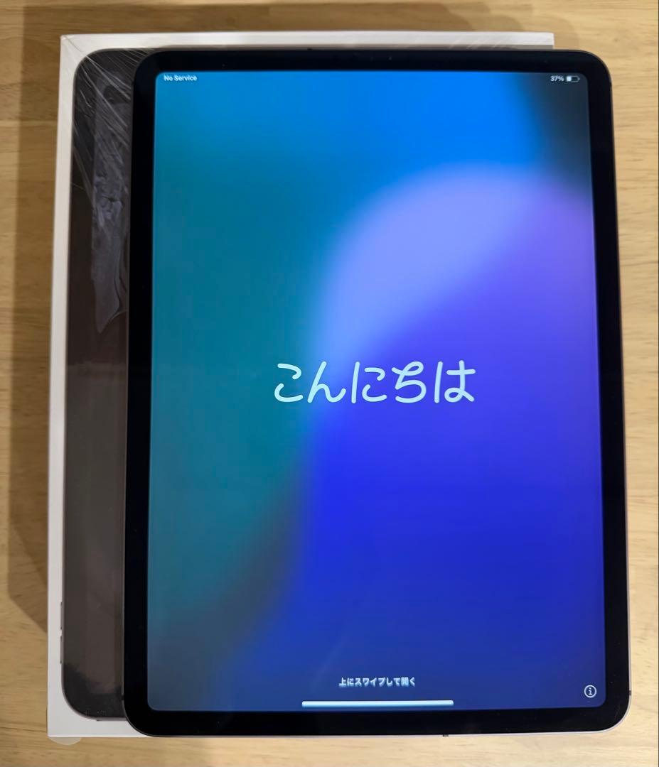iPad Pro 11インチ美品セルラーモデル【スペースグレー