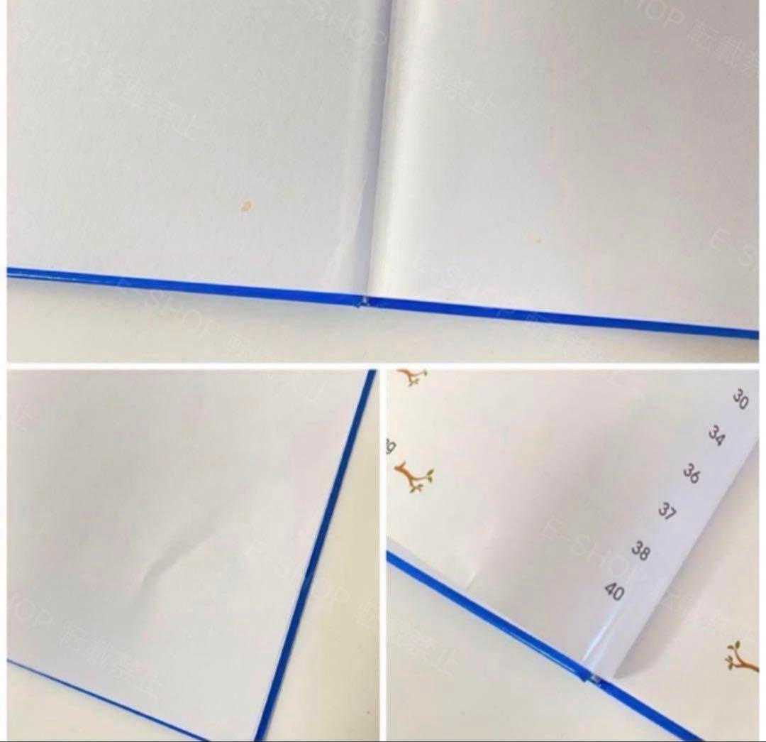 最新版 シングアロング フルセット DWE ディズニー英語システム　S602