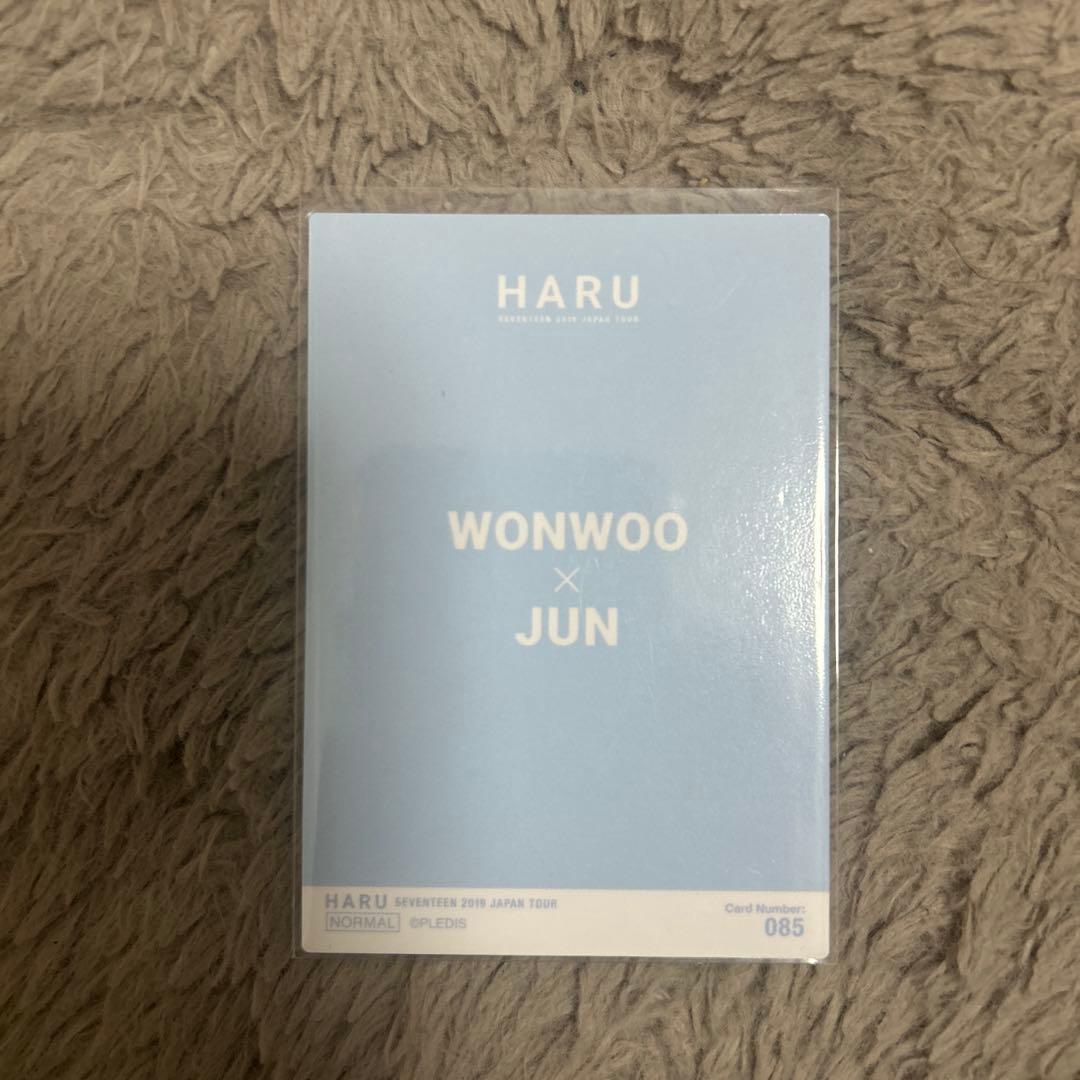 seventeen ウォヌ　ジュン　ペアトレカ　haru