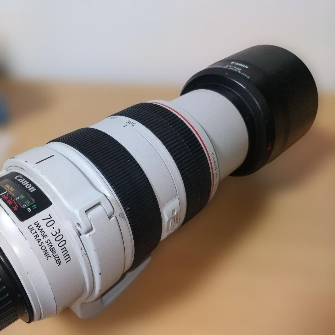 Canon EF 70-300mm F4.5-5.6L IS USM　白レンズ