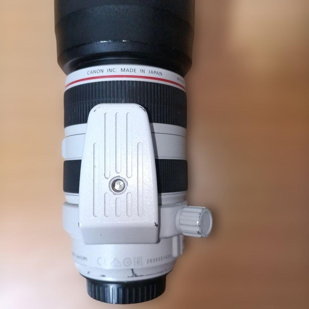 Canon EF 70-300mm F4.5-5.6L IS USM　白レンズ