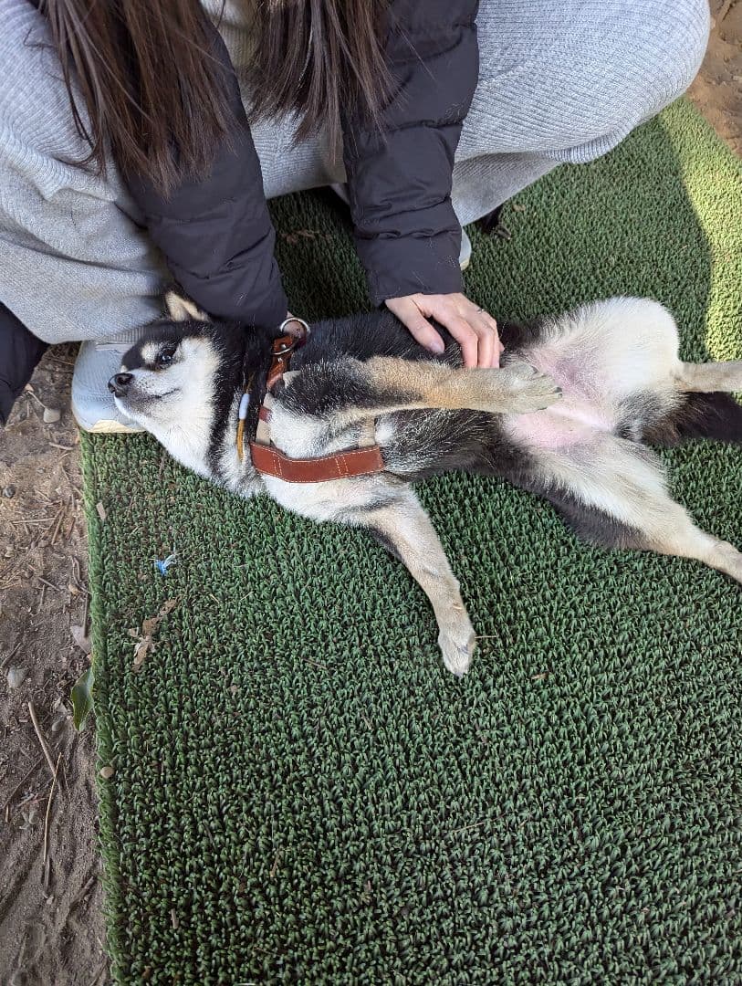 Sergio Rossi ブラックスエードパンプス 34 2/サイズ