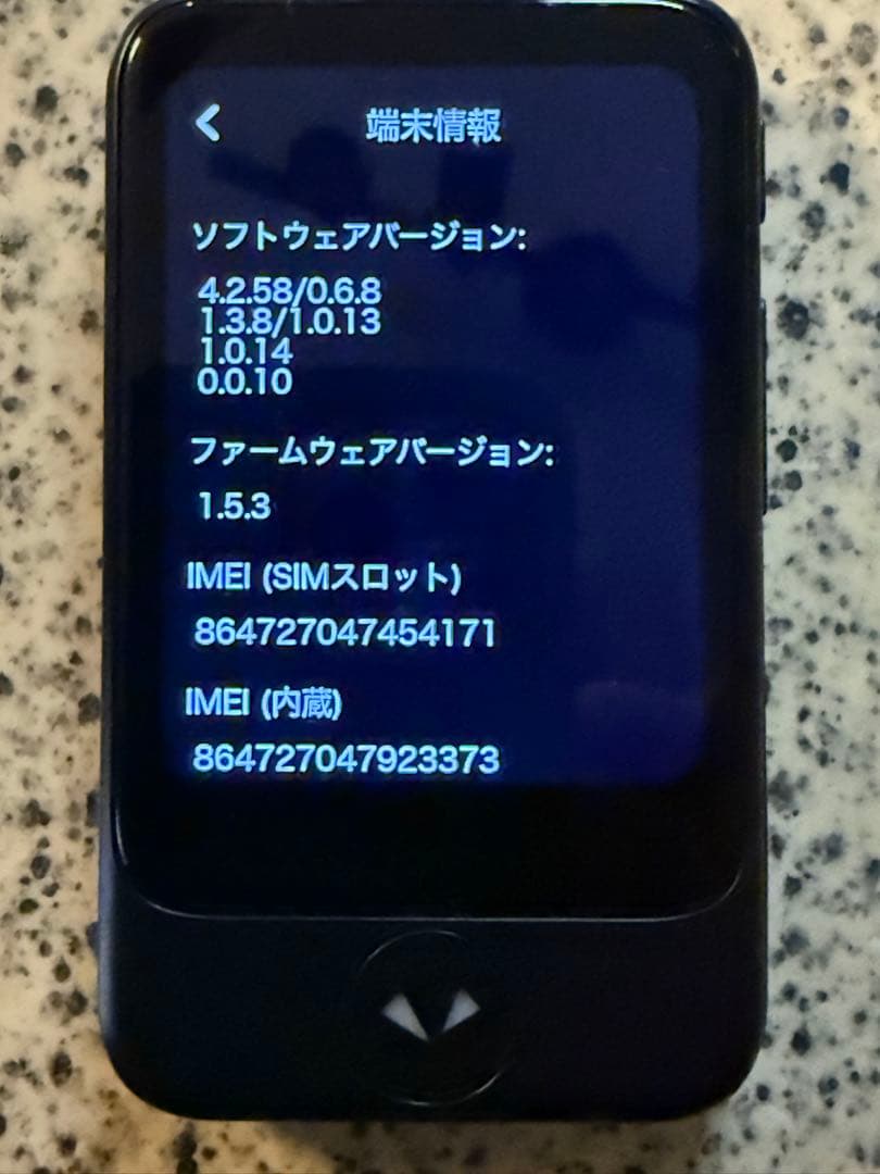 ポケトーク　POCKETALK S 翻訳機 内蔵SIM付き
