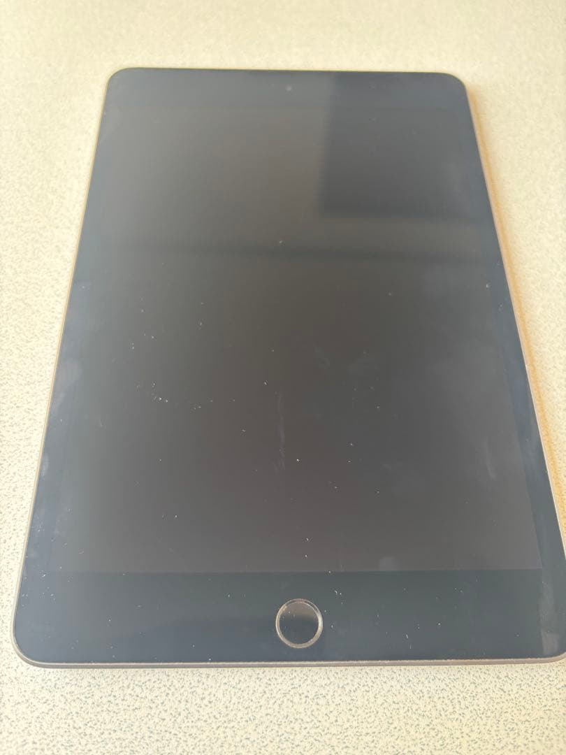 iPad本体 Apple iPad mini