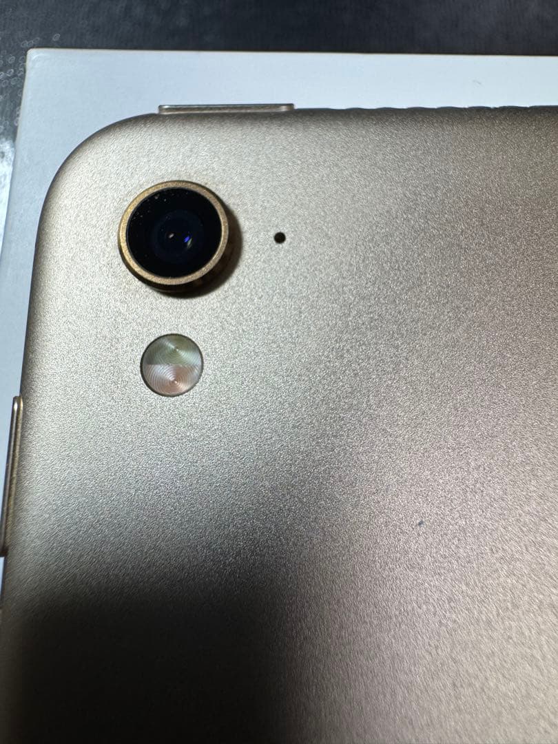 iPad Pro9.7インチ　128GB ゴールド　美品　純正ケース付き