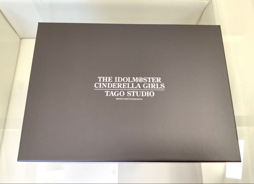 【極美品】TAGO STUDIO T3-01 IM@S-CG