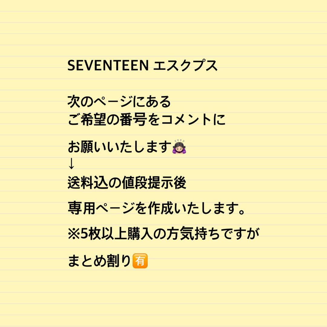 SEVENTEEN セブチ エスクプス トレカ