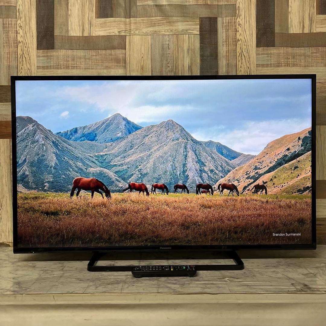 即日受渡❣️全国送料込パナソニック49V型地上デジタルBSCSテレビWチューナー